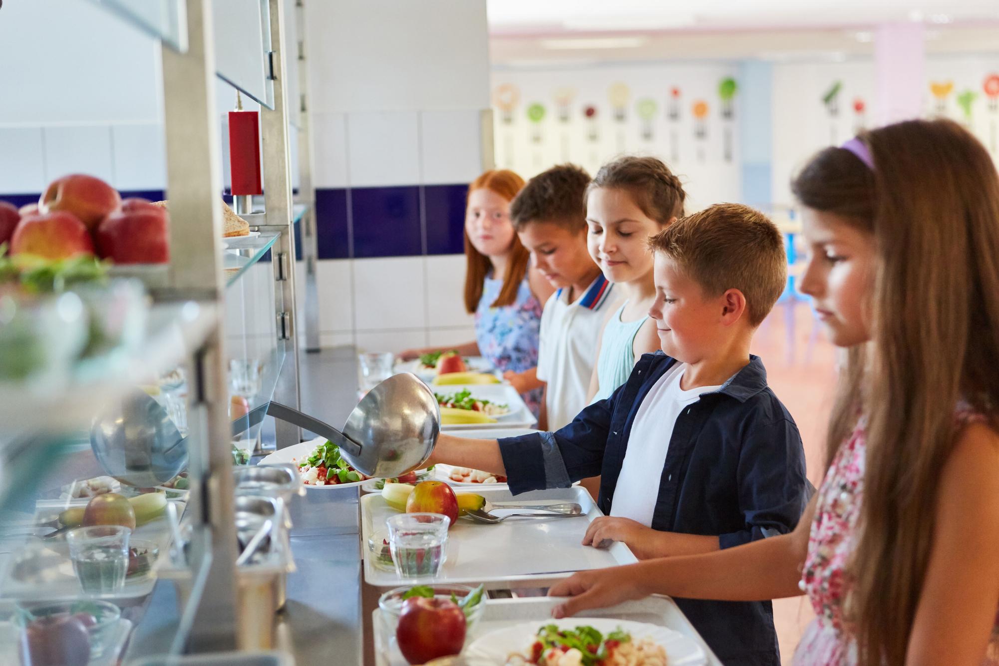 Healthy School Lunches For Success