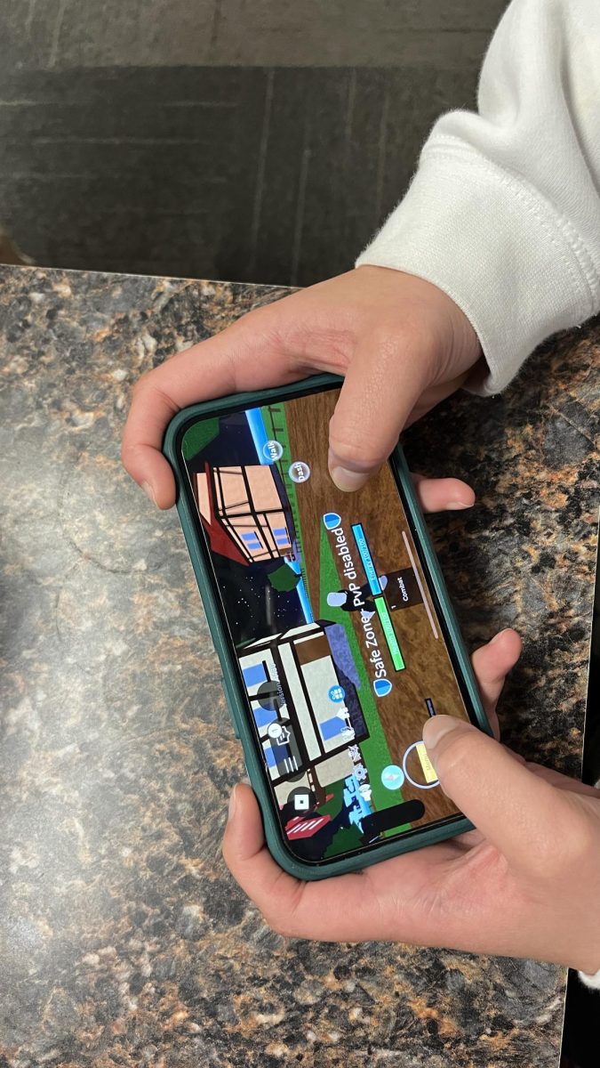 Student plays Blox Fruits on personal device!