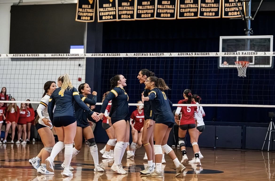 Volleyball players celebrate a point scored!