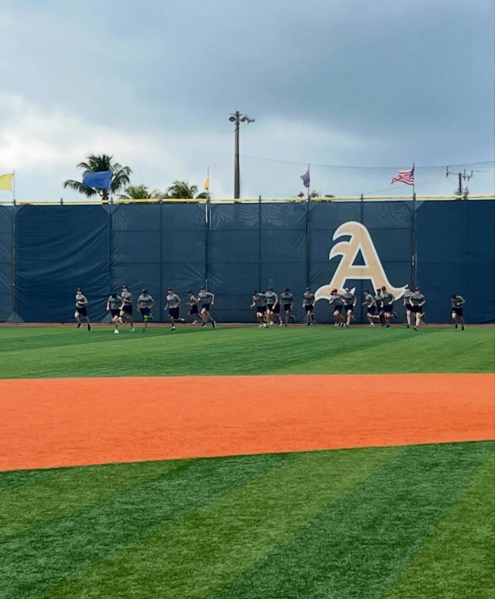 Hopeful athletes warm up during baseball tryouts, preparing for a great season.